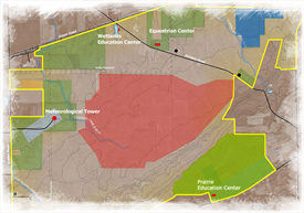 Edison Woods Restoration Project