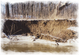 West Fork before