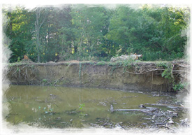 West Fork before